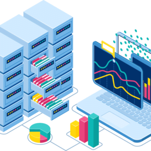 Data Scientist